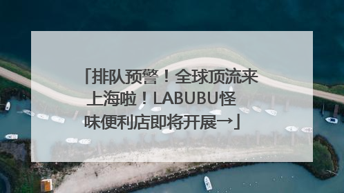 排队预警！全球顶流来上海啦！LABUBU怪味便利店即将开展→