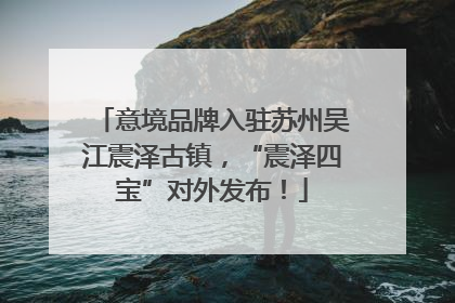 意境品牌入驻苏州吴江震泽古镇，“震泽四宝”对外发布！