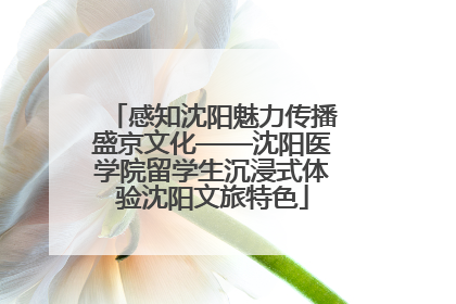 感知沈阳魅力传播盛京文化——沈阳医学院留学生沉浸式体验沈阳文旅特色