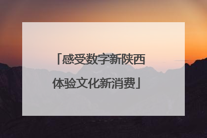 感受数字新陕西 体验文化新消费