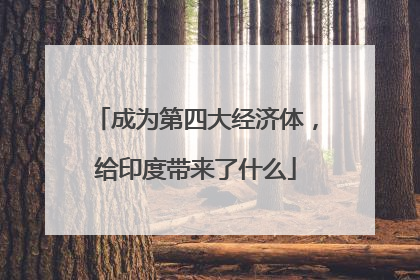 成为第四大经济体，给印度带来了什么