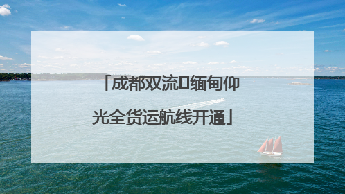 成都双流⇌缅甸仰光全货运航线开通