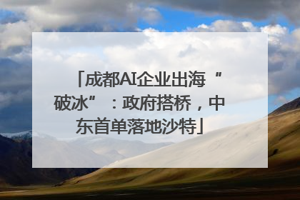 成都AI企业出海“破冰”：政府搭桥，中东首单落地沙特
