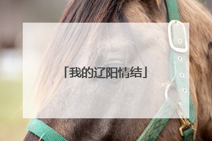 我的辽阳情结