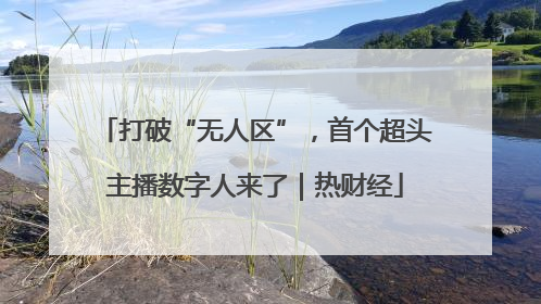 打破“无人区”，首个超头主播数字人来了｜热财经