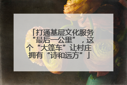 打通基层文化服务“最后一公里”，这个“大篷车”让村庄拥有“诗和远方”