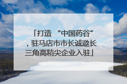 打造 “中国药谷”，驻马店市市长诚邀长三角高精尖企业入驻