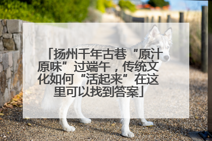扬州千年古巷“原汁原味”过端午，传统文化如何“活起来”在这里可以找到答案
