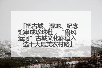 把古城、湿地、纪念馆串成珍珠链，“鲁风运河”古城文化廊道入选十大最美农村路