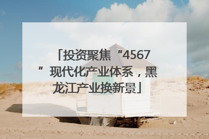 投资聚焦“4567”现代化产业体系，黑龙江产业换新景