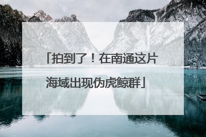 拍到了！在南通这片海域出现伪虎鲸群