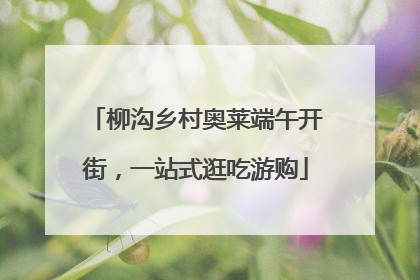 柳沟乡村奥莱端午开街，一站式逛吃游购