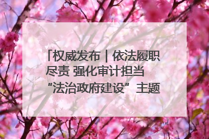 权威发布｜依法履职尽责 强化审计担当 “法治政府建设”主题系列新闻发布会市审计局专场召开