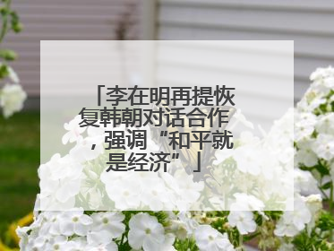 李在明再提恢复韩朝对话合作，强调“和平就是经济”