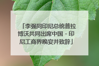 李强同印尼总统普拉博沃共同出席中国－印尼工商界晚宴并致辞