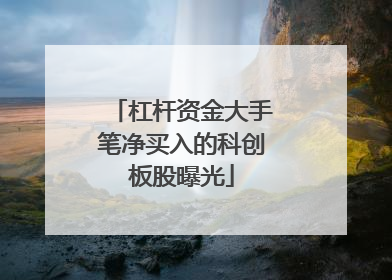 杠杆资金大手笔净买入的科创板股曝光