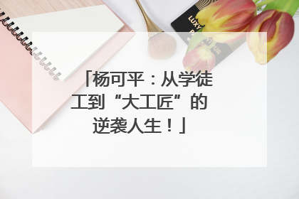 杨可平：从学徒工到“大工匠”的逆袭人生！