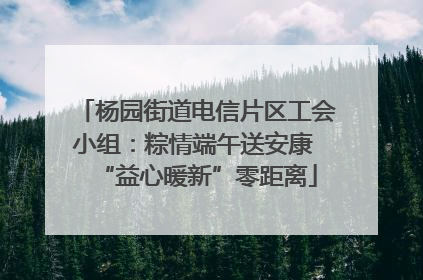 杨园街道电信片区工会小组：粽情端午送安康 “益心暖新”零距离