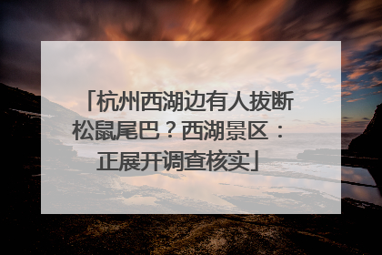 杭州西湖边有人拔断松鼠尾巴？西湖景区：正展开调查核实