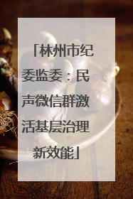 林州市纪委监委：民声微信群激活基层治理新效能