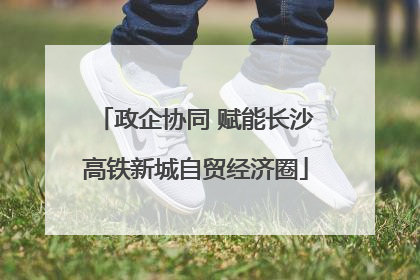 政企协同 赋能长沙高铁新城自贸经济圈