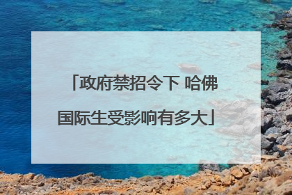 政府禁招令下 哈佛国际生受影响有多大
