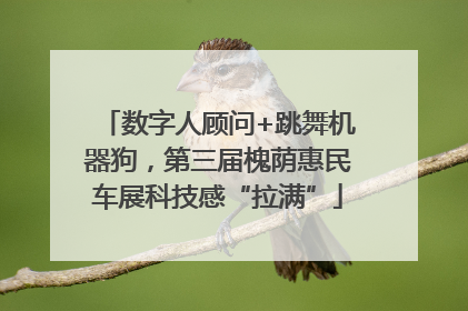 数字人顾问+跳舞机器狗，第三届槐荫惠民车展科技感“拉满”