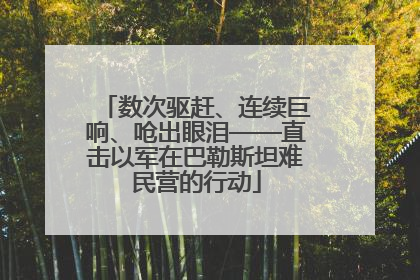 数次驱赶、连续巨响、呛出眼泪——直击以军在巴勒斯坦难民营的行动