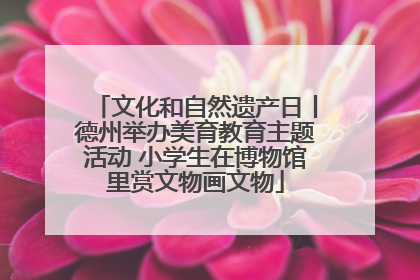 文化和自然遗产日丨德州举办美育教育主题活动 小学生在博物馆里赏文物画文物