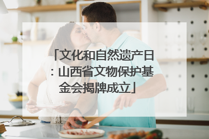 文化和自然遗产日：山西省文物保护基金会揭牌成立