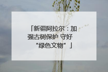 新疆阿拉尔：加强古树保护 守好“绿色文物”