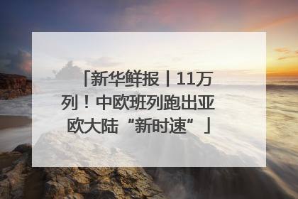 新华鲜报丨11万列！中欧班列跑出亚欧大陆“新时速”
