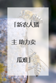 新农人播主 助力卖瓜难