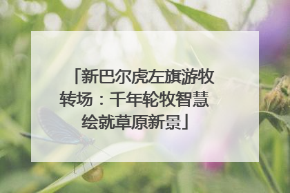 新巴尔虎左旗游牧转场：千年轮牧智慧绘就草原新景