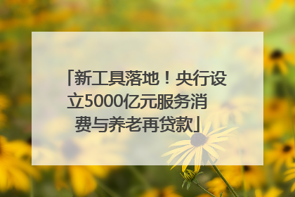 新工具落地！央行设立5000亿元服务消费与养老再贷款