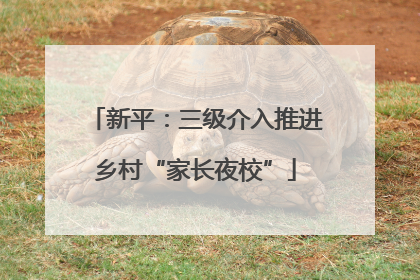 新平：三级介入推进乡村“家长夜校”