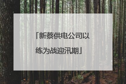新蔡供电公司以练为战迎汛期
