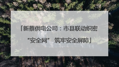 新蔡供电公司：市县联动织密“安全网” 筑牢安全屏障