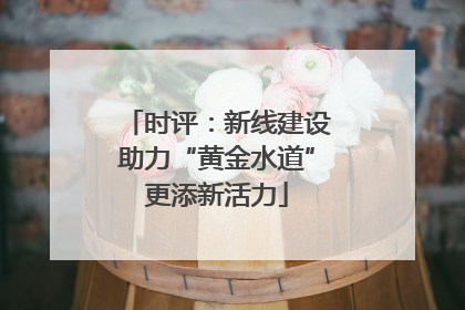 时评：新线建设助力“黄金水道”更添新活力