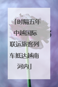 时隔五年 中越国际联运旅客列车抵达越南河内