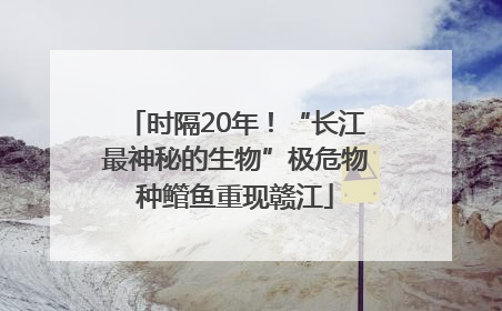 时隔20年！“长江最神秘的生物”极危物种鳤鱼重现赣江