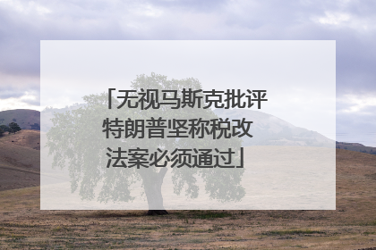 无视马斯克批评 特朗普坚称税改法案必须通过