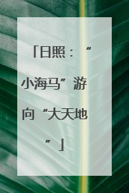 日照：“小海马”游向“大天地”