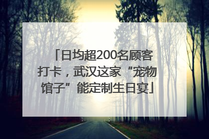 日均超200名顾客打卡,武汉这家“宠物馆子”能定制生日宴