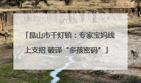 昆山市千灯镇：专家宝妈线上支招 破译“多孩密码”