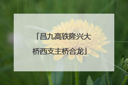 昌九高铁隆兴大桥西支主桥合龙