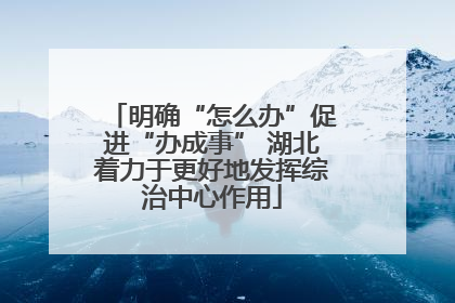 明确“怎么办”促进“办成事” 湖北着力于更好地发挥综治中心作用