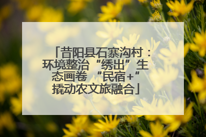 昔阳县石寨沟村：环境整治“绣出”生态画卷 “民宿+”撬动农文旅融合