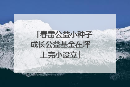 春雷公益小种子成长公益基金在坪上完小设立