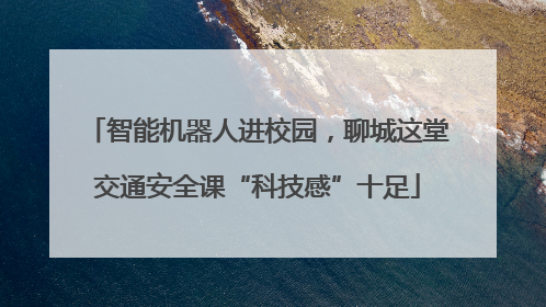 智能机器人进校园，聊城这堂交通安全课“科技感”十足